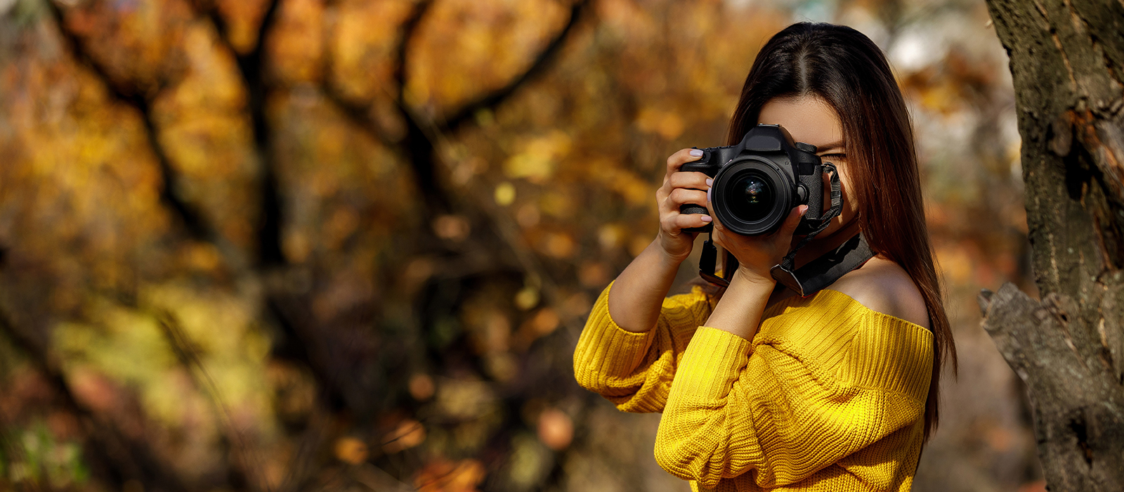 Curs foto Nikon DSLR Curs foto Nikon DSLR