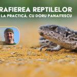12 iunie 2024 Fotografia Reptilelor: De la Teorie la Practică