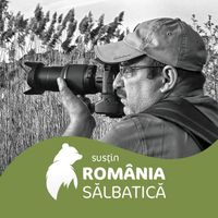 Poză de profil pentru Hasu